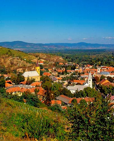The town of Tokaj on the edge of the Danube Plain at   the confluence of the Tisza and Bodrog Rivers   Hungary   Tokaji