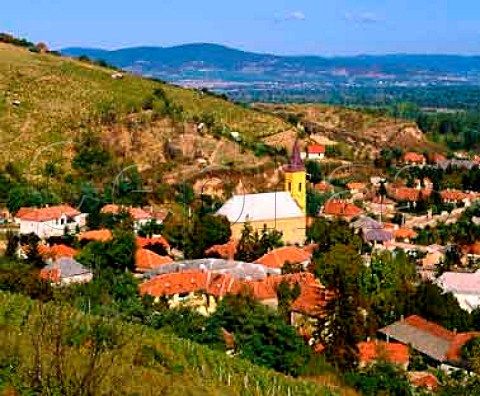 The town of Tokay on the edge of the Danube Plain at   the confluence of the Tisza and Bodrog Rivers From   its vineyards comes the famous Tokay wine of Hungary
