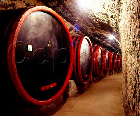 Old oak casks in the huge state cellars of Egervin   at Eger Hungary Most well known for Bulls Blood   these cellars have been tunnelled out of the soft   tufa of the hills