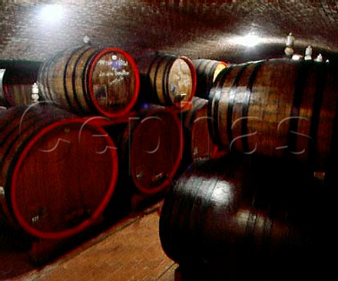 Barrels of Amarone and Valpolicella in the cellars   of Masi   Amarone is given to recognise   achievements of individuals in various fields  eg   Luciano Benetton  Gargagnano Veneto Italy