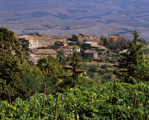 Montalcino Tuscany Italy   Brunello di Montalcino