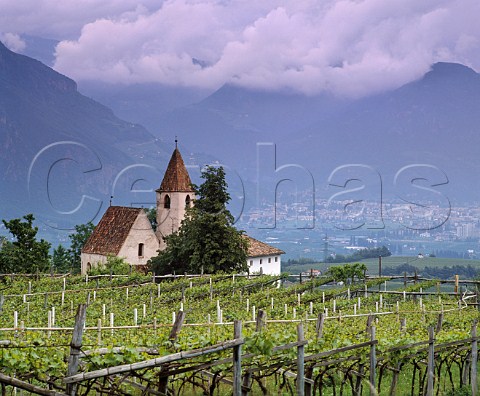 Vineyard and church near Appiano high above the   Adige Valley and city of Bolzano Alto Adige Italy