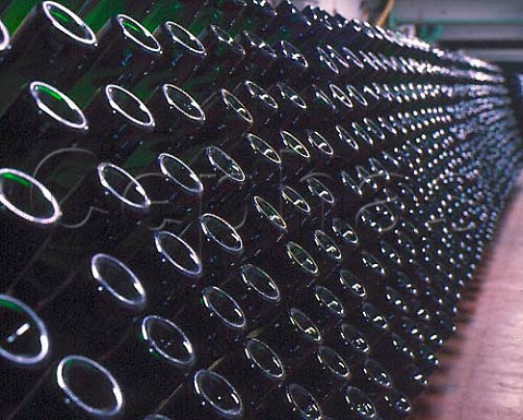 Bottles of sparkling wine in pupitres in cellar of    Fontanafredda Serralunga dAlba Piemonte Italy