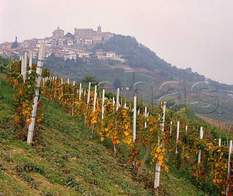 Autumnal vineyard below the hilltop village of La Morra Piemonte Italy Barolo