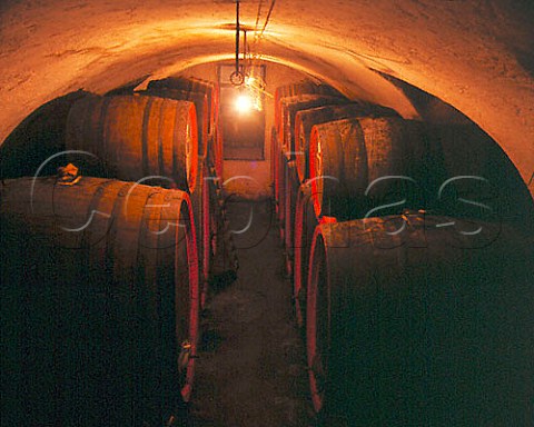 Barrels of Amarone and Valpolicella in cellar of    Masi    Gargagnano Veneto Italy