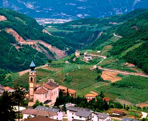 Vineyards around Verla di Giovo in the   Valle di Cembra Trentino Italy
