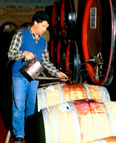 Topping up barriques of Barolo in the winery   of Renato Ratti La Morra Piemonte Italy