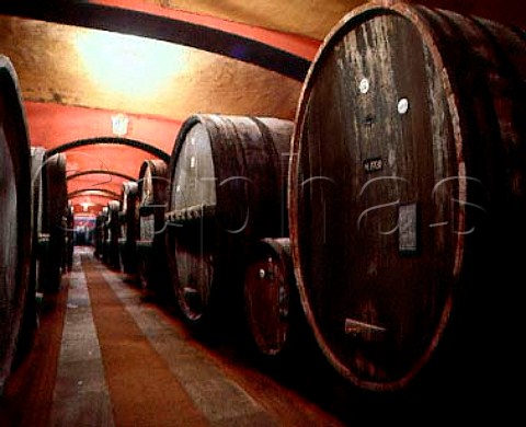 Botti in the cellars of Fontanafredda  Serralunga dAlba Piemonte Italy