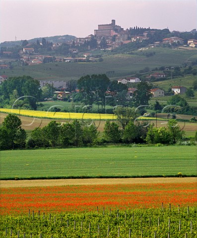 Springtime at San Giorgio Monferrato Piemonte   Italy