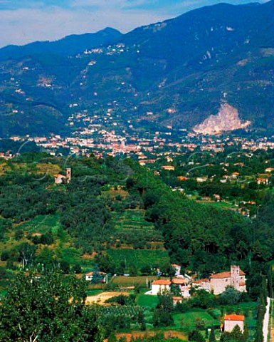 Camaiore Tuscany Italy   Colline Lucchesi