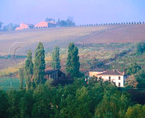 Vineyards near Casteggio Lombardy Italy   Oltrep Pavese