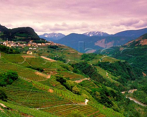 Verla di Giovo in the Valle di Cembra Trentino   Italy