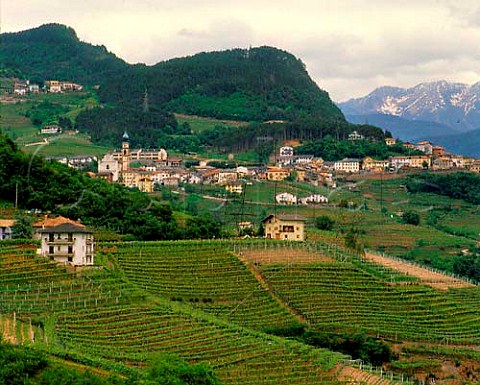 Verla di Giovo in the Valle di Cembra Trentino   Italy