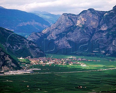 Mezzo Lombardo surrounded by vineyards and   orchards in the small Teroldego Rotaliano DOC wine   zone at the confluence of the Adige and Noce rivers   Trentino Italy