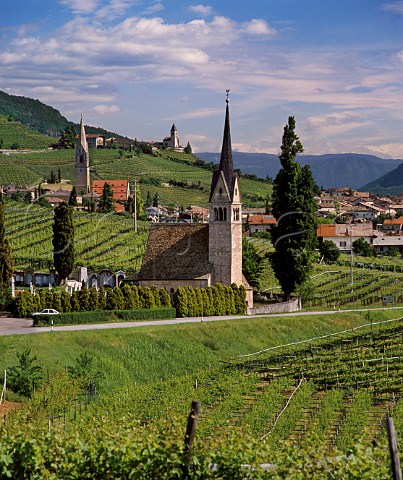 Village and vineyards of Termeno Alto Adige Italy  DOC Caldaro  Kalterer