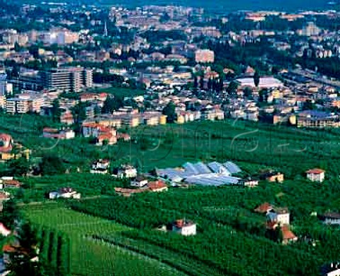 Merano surrounded by apple orchards and vineyards in   the Adige Valley Alto Adige Italy