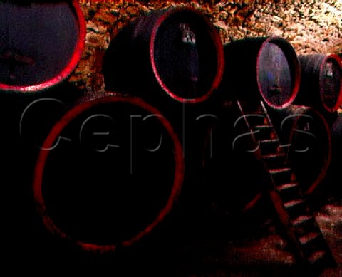 Barrels in cellar of Tiefenbrunner Entiklar   Alto Adige Italy