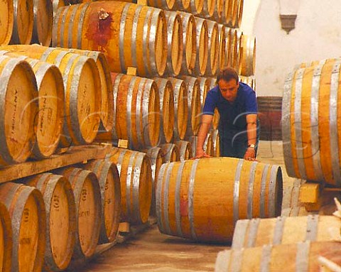Rolling a barrique through the cellars of Badia a Passignano of Antinori Tuscany Italt Chianti Classico