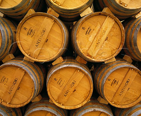 Barriques in cellar of Antinoris Badia a Passignano Tuscany Italy Chianti Classico