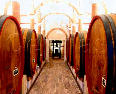 Botti in the cellars of Fattoria di Felsina   Castelnuovo Berardenga Tuscany Italy  Chianti Classico