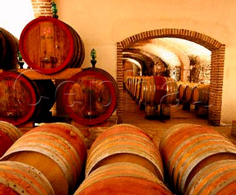 Barriques and botti in the cellars of Fattoria di Felsina Castelnuovo Berardenga Tuscany Italy   Chianti Classico