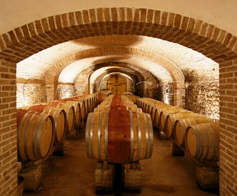 Puncheons and barriques in the cellars of Fattoria di Felsina Castelnuovo Berardenga Tuscany Italy