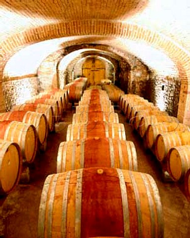 Cellars of Fattoria di Felsina Castelnuovo   Berardenga Tuscany Italy   Chianti Classico