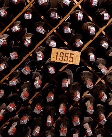 Bottles of 1955 Chianti Classico in the wine library   of Badia a Coltibuono Gaiole in Chianti Tuscany   Italy