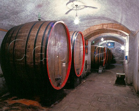 Botti in the cellars of the historic estate of   Peppoli now owned by Antinori Mercatale Val di Pesa   Tuscany Chianti Classico