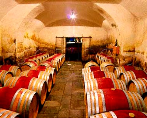 Barriques in the cellars of Capezzana  Seano Tuscany Italy       Carmignano