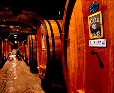 Botti in the cellars of Capezzana Seano Tuscany   Italy       Carmignano
