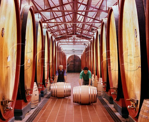 Rolling barriques through the botti hall in the San Casciano cellars of Antinori  Tuscany Italy  Chianti Classico