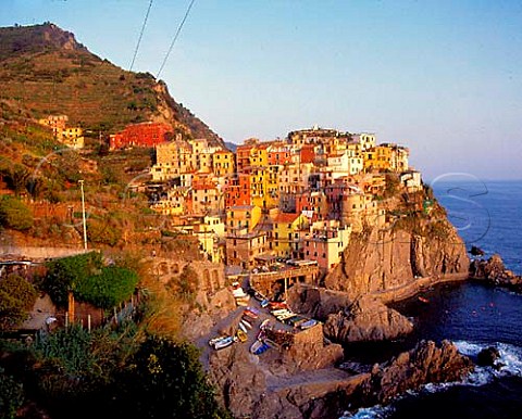 Terraced vineyards above the village of Manarola in   the beautiful Cinque Terre region of Liguria once   only accessible by sea  Italy