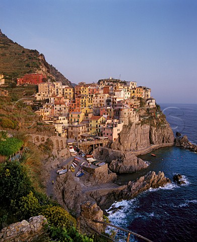 The village of Manarola with terraced vineyards on the hillside above Liguria Italy Cinque Terre