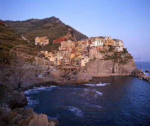 The village of Manarola in the beautiful Cinque   Terre region was once only accessible by sea   Terraced vineyards can be seen on the slopes above   Liguria Italy