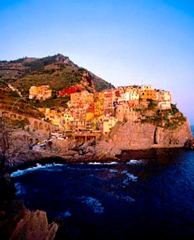 The village of Manarola in the beautiful Cinque   Terre region was once only accessible by sea   Terraced vineyards can be seen on the slopes above   Liguria Italy