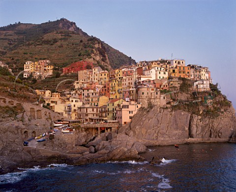 The village of Manarola with terraced vineyards on the hillside ablove Liguria Italy Cinque Terre