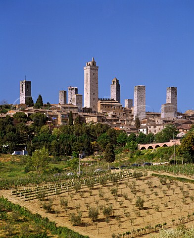 The town of San Gimignano and its medieval towers   Tuscany Italy