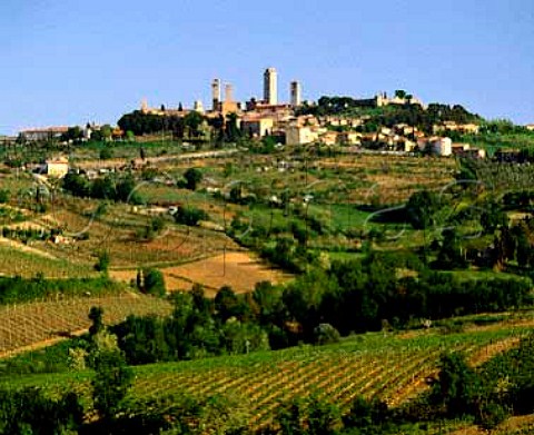 San Gimignano and its medieval towers surrounded   by vineyards Tuscany Italy    San Gimignano  Chianti
