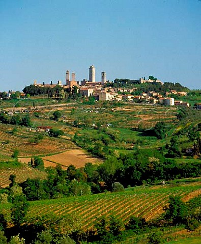View over vineyards to the hilltop town of San   Gimignano and its medieval towers Tuscany Italy  Chianti Colli Senesi  Vernaccia