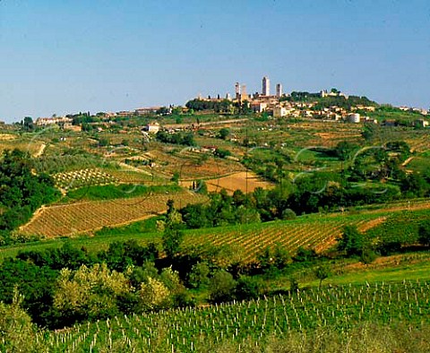 View over vineyards to the hilltop town of San   Gimignano and its medieval towers Tuscany Italy  Vernaccia  Chianti Colli Senesi