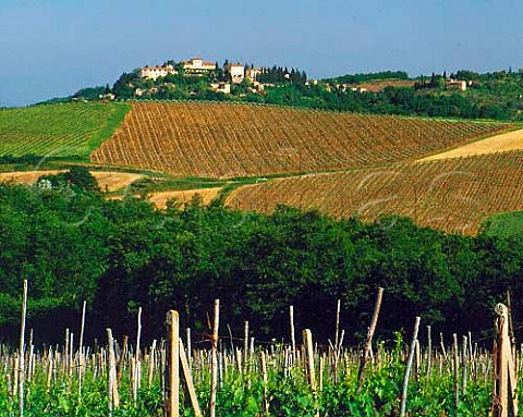 Fattoria di Fabbrica on hilltop at Villa   SantAndrea Tuscany Chianti Classico
