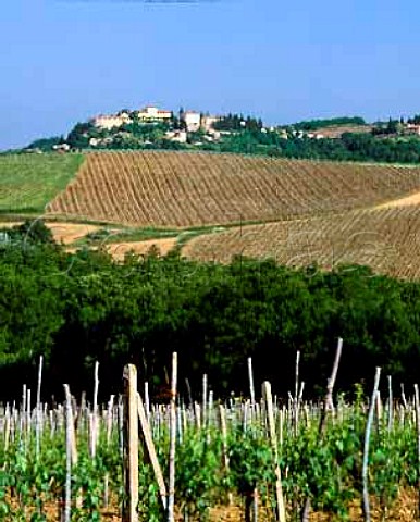 Fattoria di Fabbrica on hilltop at   Villa SantAndrea Tuscany Italy     Chianti Classico