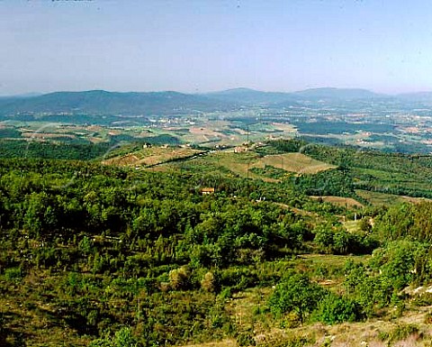 Landscape near Castellina in Chianti Tuscany