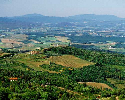 Landscape with vineyards near Castellina in Chianti   Tuscany Italy    Chianti Classico