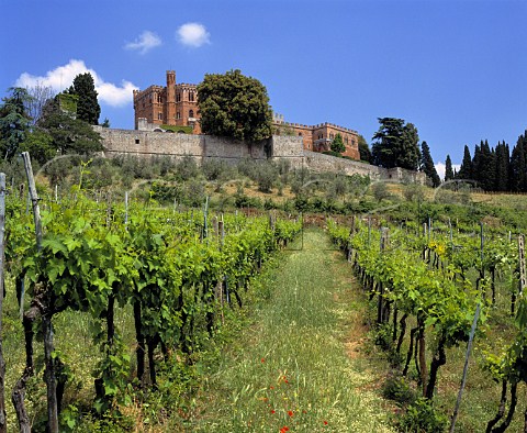 Castello di Brolio above its vineyard  Tuscany Italy   Chianti Classico