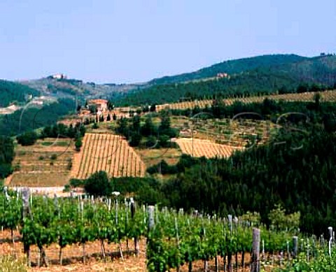 In middle distance is the estate of Capanelle   whilst on the horizon is Castello di San Donato in   Perano    Near Gaiole in Chianti Tuscany Italy   Chianti Classico