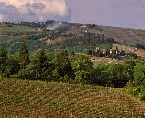 Castello dei Rampolla and its vineyards at  Santa Lucia in Faulle near Panzano in Chianti Tuscany Italy Chianti Classico