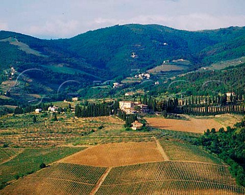 Estate of Vignamaggio near Greve Tuscany Owned by   Gianni Nunziante the winemaker is itinerant   oenologist Franco Bernabei  Chianti Classico