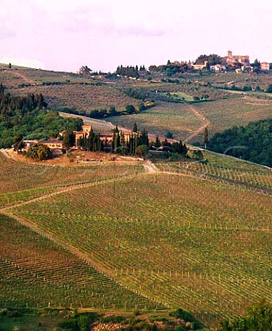 Castello dei Rampolla and its vineyards at Santa   Lucia in Faulle Beyond is Castello di Chianti and   the old town of Panzano in Chianti Tuscany Italy   Chianti Classico